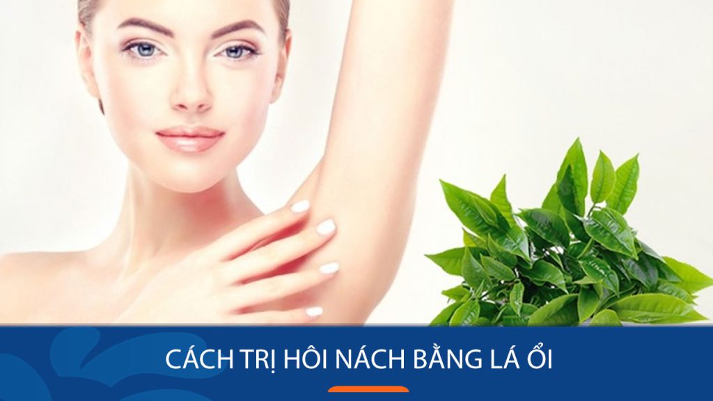5 cách trị hôi nách bằng lá ổi tại nhà HIỆU QUẢ CẤP TỐC