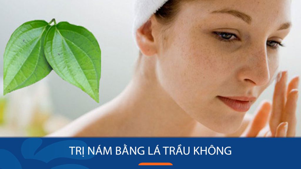 7 Cách trị nám bằng lá trầu không tại nhà hiệu quả