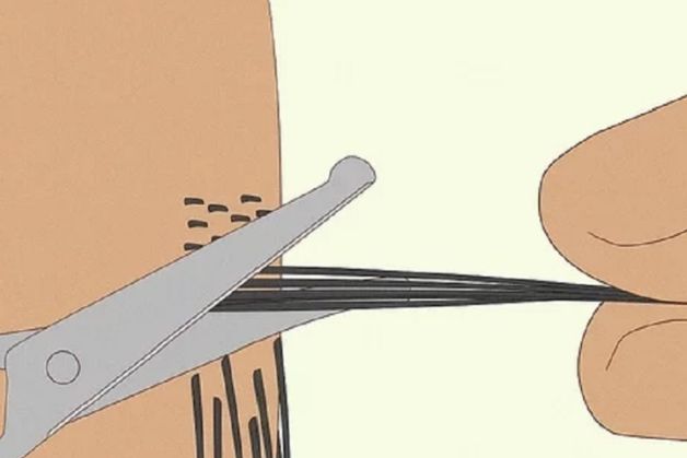 Cắt tỉa lông vùng kín ở phái đẹp đem tác động gì không?