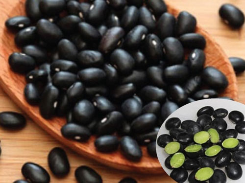 lose weight with green black beans crushed