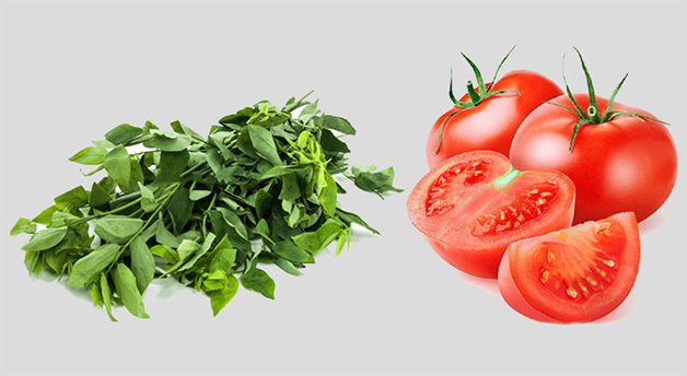 Uống nước ép rau ngót, cà chua mỗi ngày giúp đẹp da và tăng cường sức khỏe