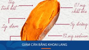 Giảm cân bằng khoai lang- Loại bỏ mỡ thừa trong 1 tuần