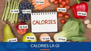 Calories là gì? Cách tính lượng calo trong thức ăn chính xác nhất