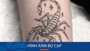 Chiêm ngưỡng bộ sưu tập hình xăm bọ cạp đẹp nhất