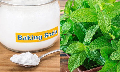 trị mụn bằng baking soda với bạc hà