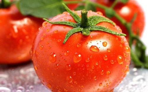 triệt ria mép bằng cà chua 