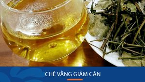 Sự thật chè vằng giảm cân có hiệu quả? Tác dụng thực sự của chè vằng