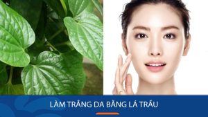 Làm trắng da bằng lá trầu không: Bí quyết bật tông da nhanh chóng và an toàn