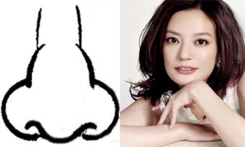 mũi sư tử, tướng số, phong thủy