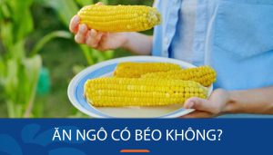 Ăn ngô có béo không? thực đơn 3 bữa giảm cân hiệu quả