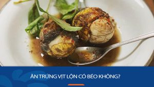 Ăn trứng vịt lộn có béo không? Bí kíp ăn hột vịt lộn không tăng cân