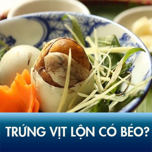 Ăn trứng vịt lộn có béo không? Bí kíp ăn hột vịt lộn không tăng cân