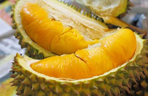 ăn sầu riêng có tăng cân không
