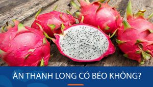 Ăn thanh long có béo không? 3 cách ăn thanh long không lo bị mập