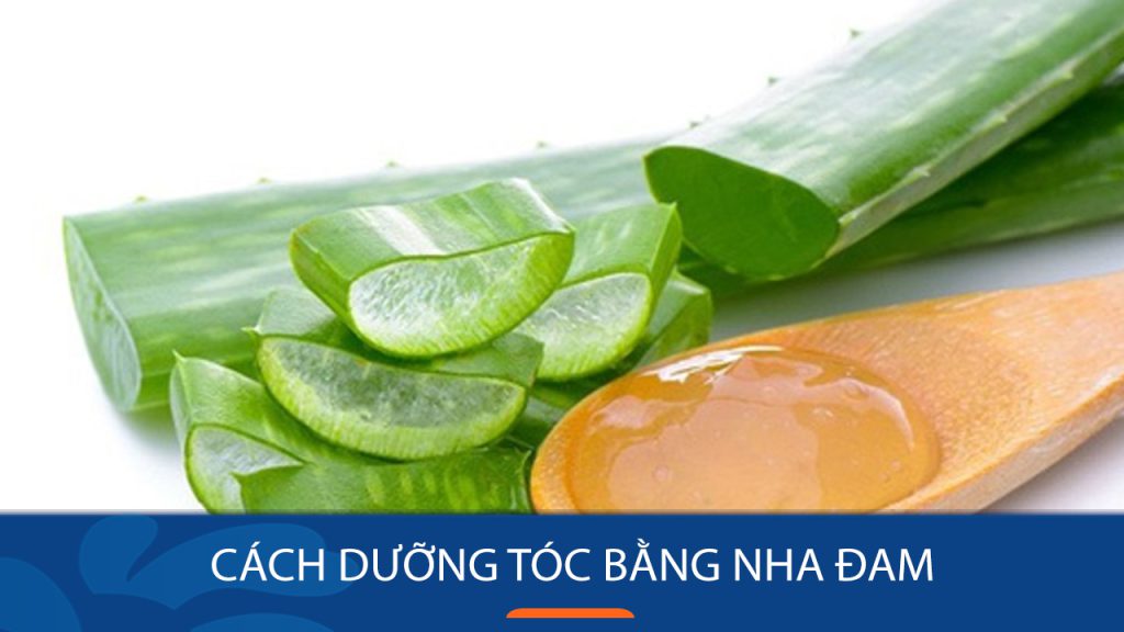 5 Cách dưỡng tóc bằng nha đam ngăn tóc rụng hiệu quả
