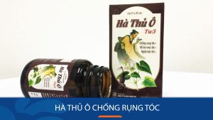 3 Cách dùng hà thủ ô chống rụng tóc hiệu quả, An Toàn