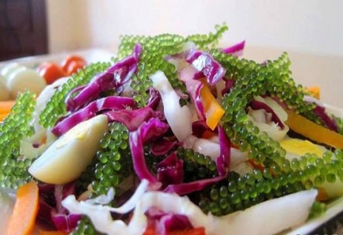salad bắp cải rong biển