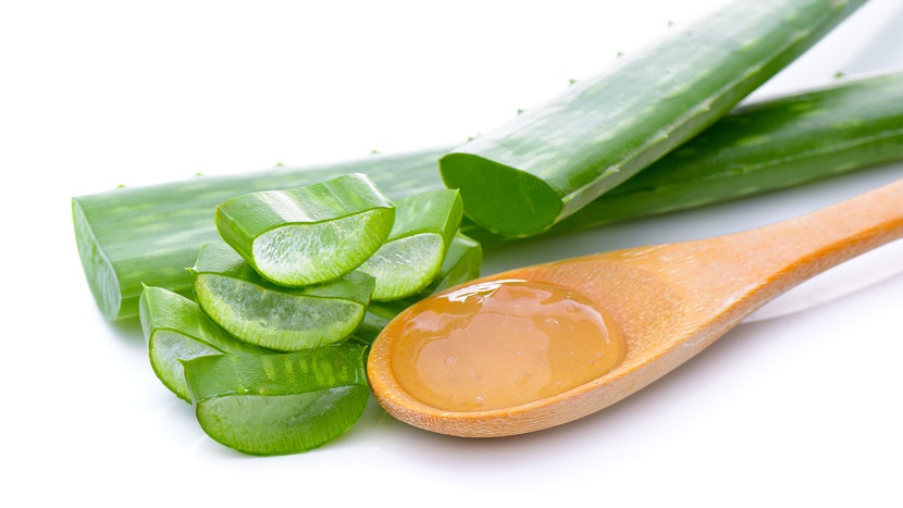 Aloe vera is a very good beauty ingredient for the skin