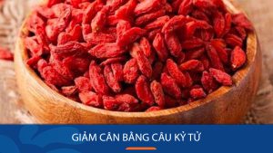 Bật mí 3 cách giảm cân bằng câu kỷ tử, giảm ngay 1 – 2 kg