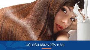 5 Cách Ủ/ Gội đầu bằng Sữa Tươi ngăn ngừa rụng, gãy tóc