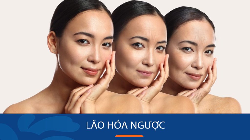 Lão hóa ngược là gì? Bí kíp “ăn gian” tuổi tác với 15 bí quyết tại nhà