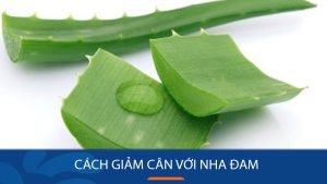 Cách giảm cân bằng nha đam phổ biến? Những lưu ý cần nhớ