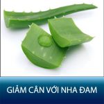 5 cách giảm cân với nha đam hiệu quả – Đốt 2Kg mỡ 1 tuần