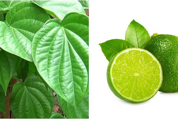 chanh và lá trầu không chanh và lá trầu không