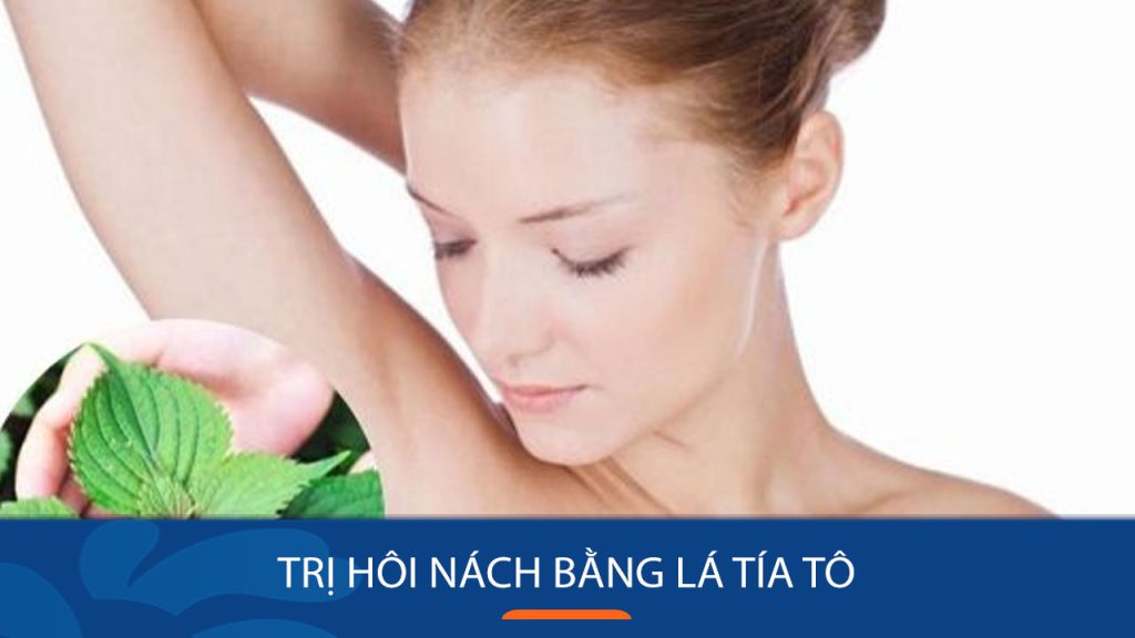 3 Cách trị hôi nách bằng lá tía tô tại nhà Hiệu quả