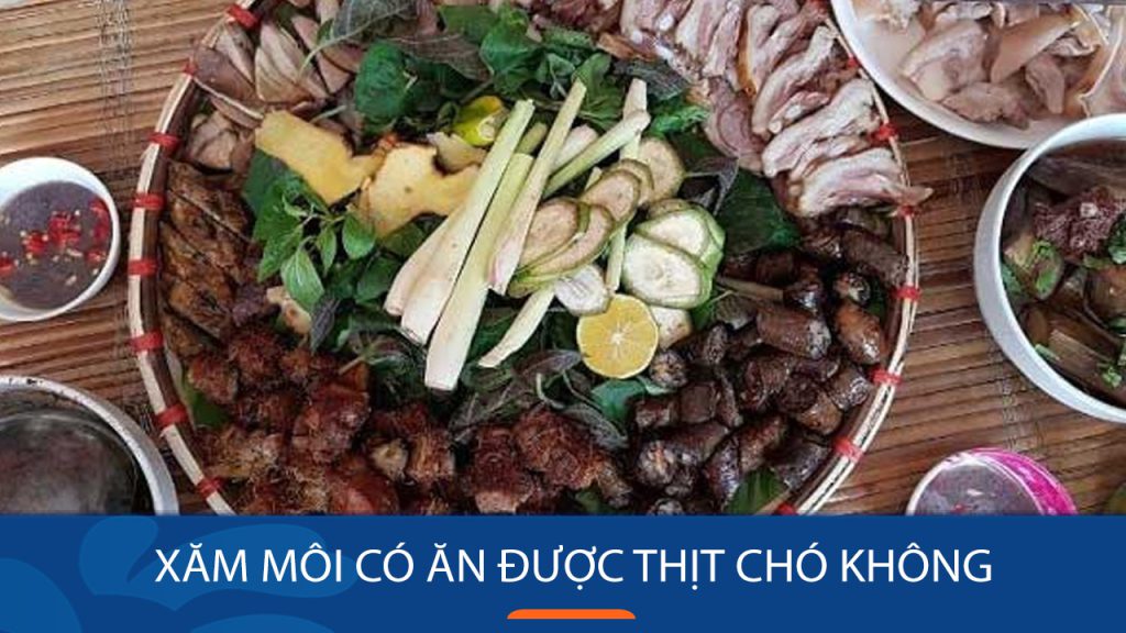 Xăm môi có nên ăn thịt chó? Tìm hiểu lý do và các lựa chọn thay thế an toàn