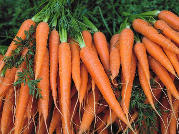 cà rốt cung cấp vitamin c