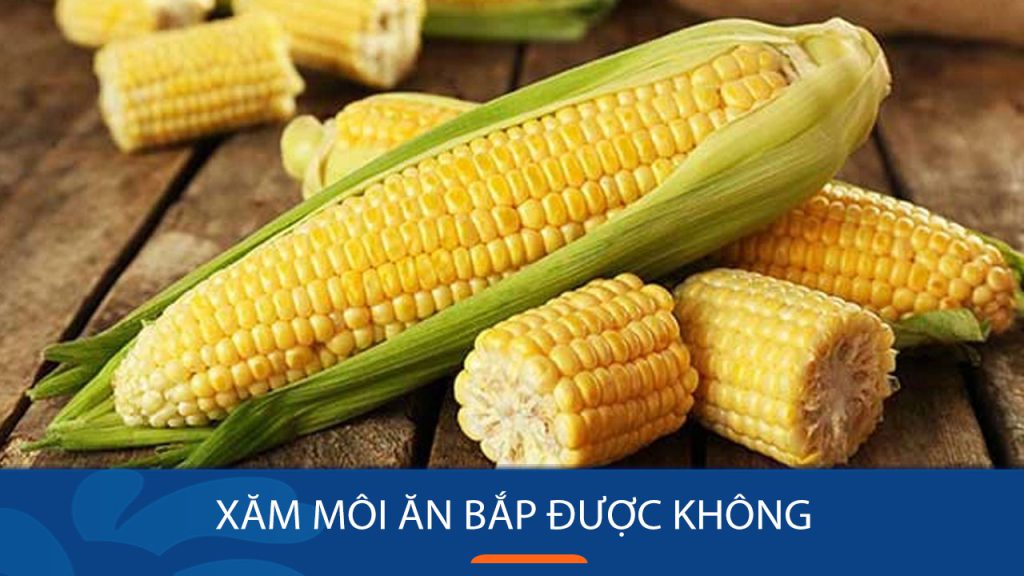 Sau xăm môi có nên ăn bắp không? Lợi ích và lưu ý bạn cần biết