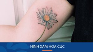 99+ Hình xăm Hoa Cúc: Đẹp, Ý nghĩa nhất cho Nam, Nữ