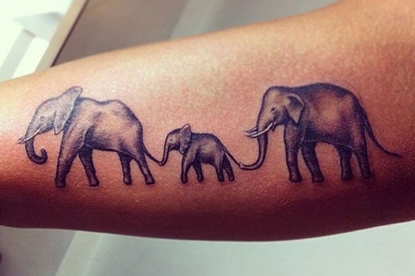 elephant family tattoo độc đáo