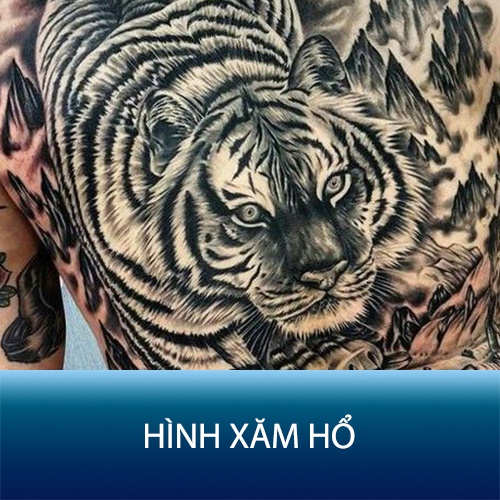 Hình xăm kín lưng hổ chúa sơn lâm JULLY Tattoo chất xăm tạm thời chống  nước full lưng cho nam  Shopee Việt Nam