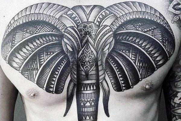 tribal voi tattoo ý nghĩa