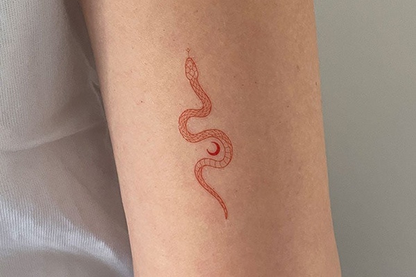 snake tattoo mini