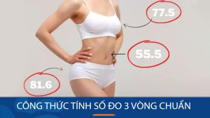 Công thức tính số đo 3 vòng chuẩn của nữ cao 1m55 – 1m70