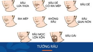 Lựa chọn kiểu râu chuẩn chỉnh: Hướng dẫn chi tiết từ A đến Z