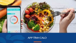 TOP 16 App tính Calo Miễn phí, Chính xác, Tốt nhất Android & IOS