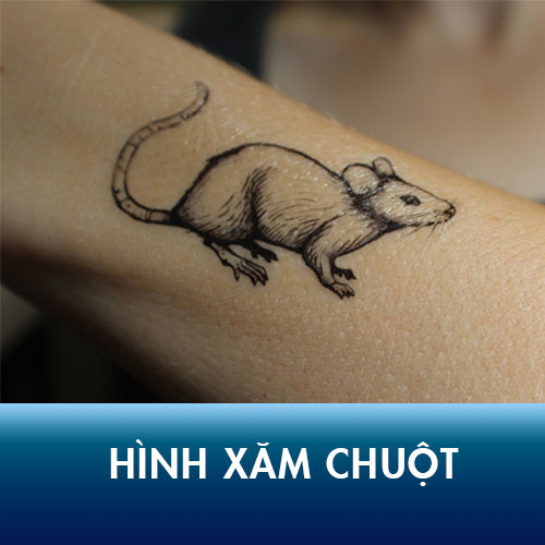 Vector Con Chuột tuyệt đẹp - KS1655 - Kho Stock Việt Nam