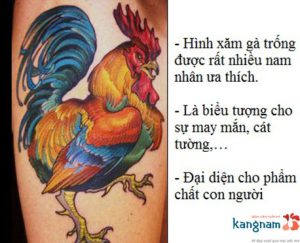 Mẫu hình xăm con gà trống đẹp cho phái mạnh – ý nghĩa hình xăm