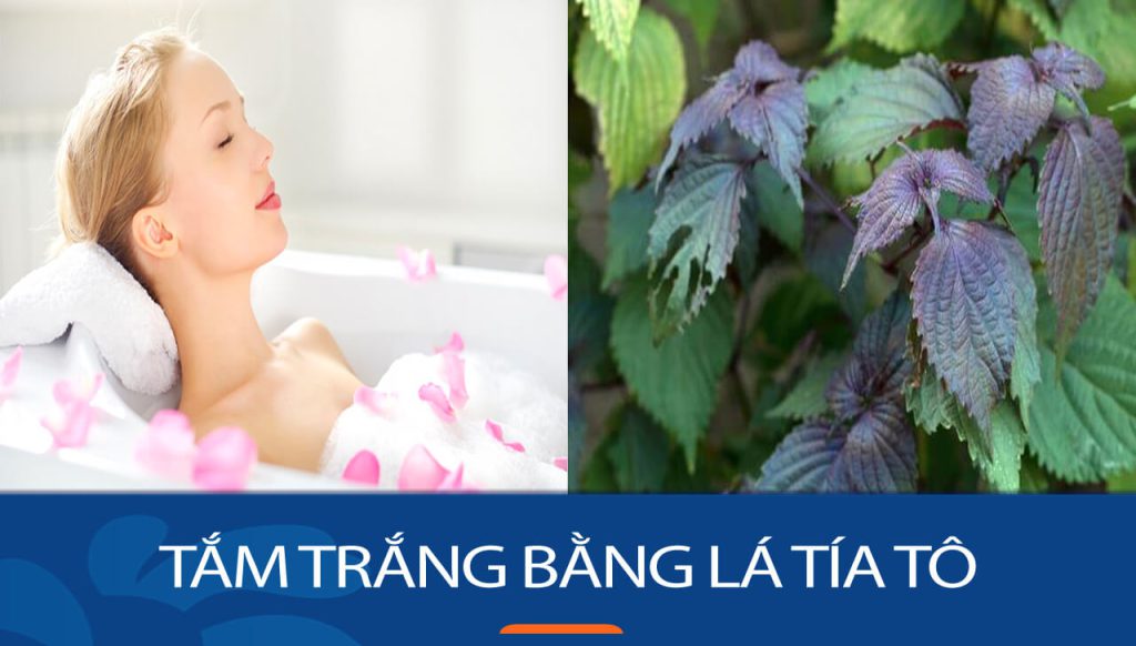 Tắm trắng bằng lá tía tô: Bí quyết trắng da an toàn, hiệu quả tại nhà!