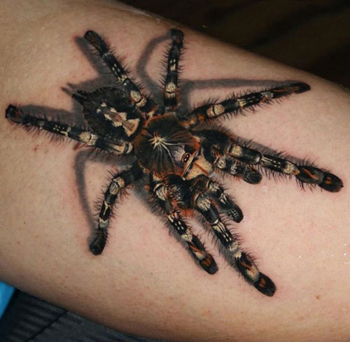 tattoo hình con nhện