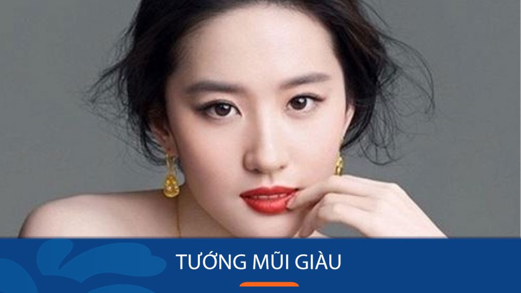 Tướng mũi Giàu: Bí quyết nhận biết và sở hữu để gia tăng tài lộc