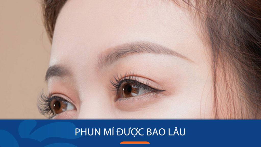 Phun mí giữ được bao lâu, một số lưu ý giúp mí bền hơn