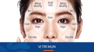 18 Vị Trí “Da Dễ Nổi Mụn” – Bí Quyết Vàng Để Có Làn Da Trơn Mịn