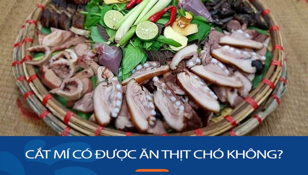 Cắt mí có được ăn thịt chó không? Cách chăm sóc và kiêng khem để mí nhanh lành