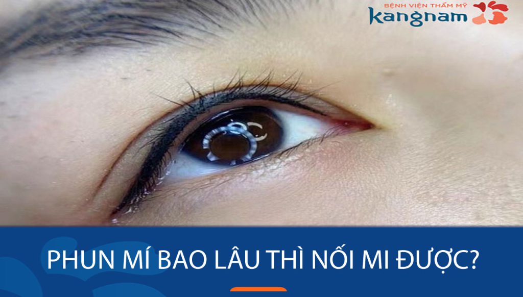 Phun mí bao lâu nối mi? Giải đáp thắc mắc cho nàng yêu thích làm đẹp