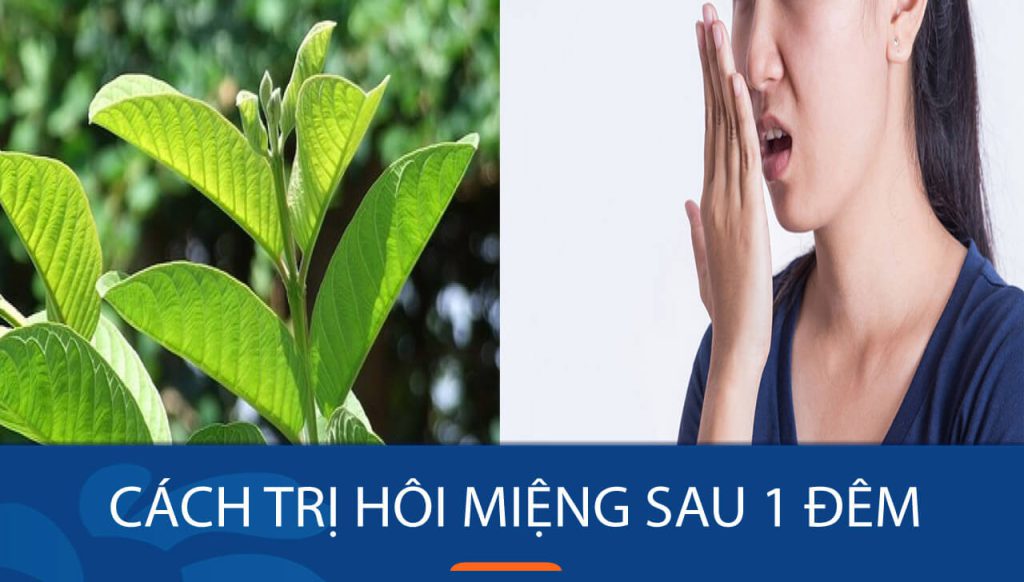 Cách trị hôi miệng sau 1 đêm: Bí quyết ‘đánh bay’ hơi thở khó chịu